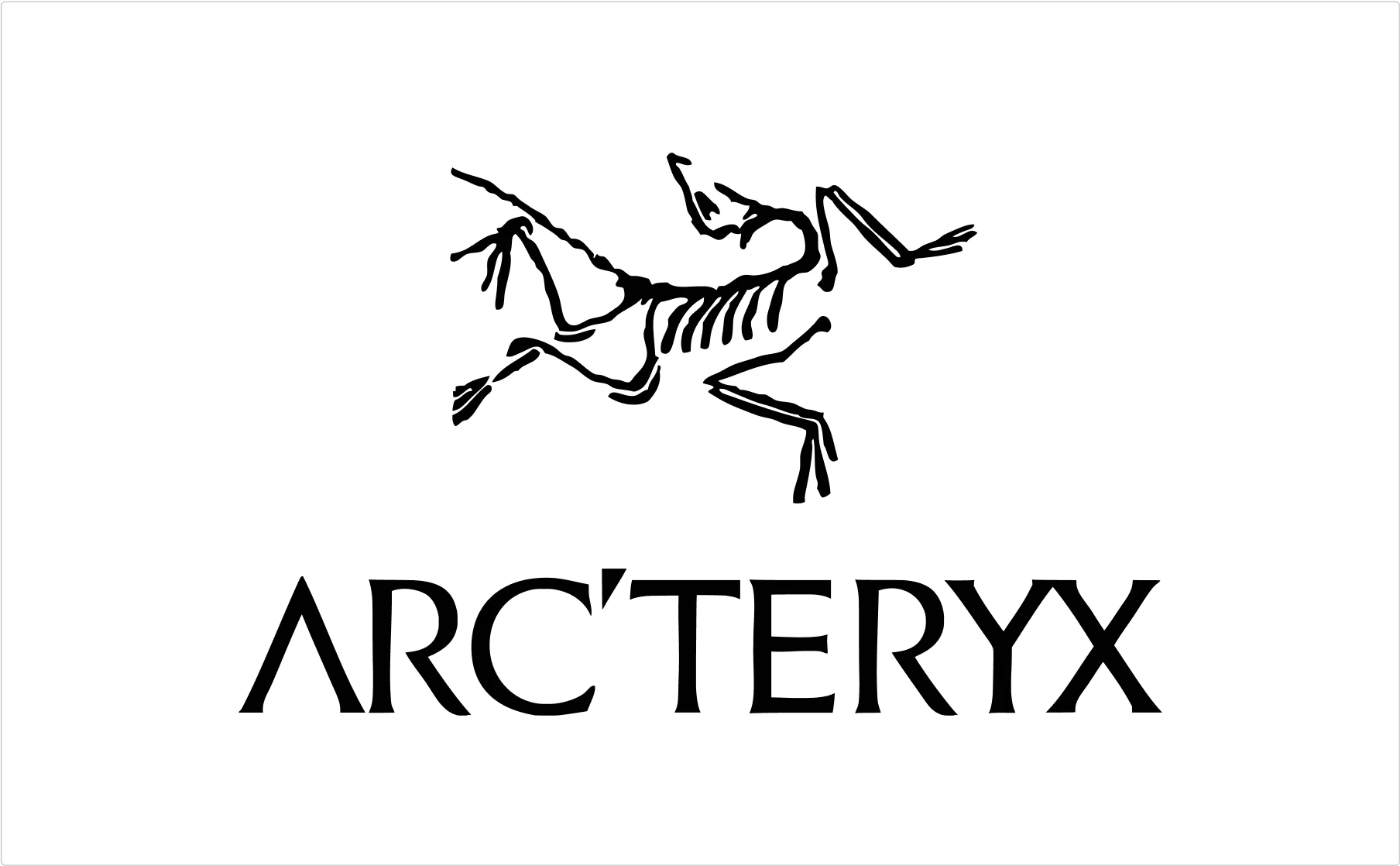 Arc'teryx outdoor brand logo featuring bold sans-serif custom lettering with distinctive bird symbol above