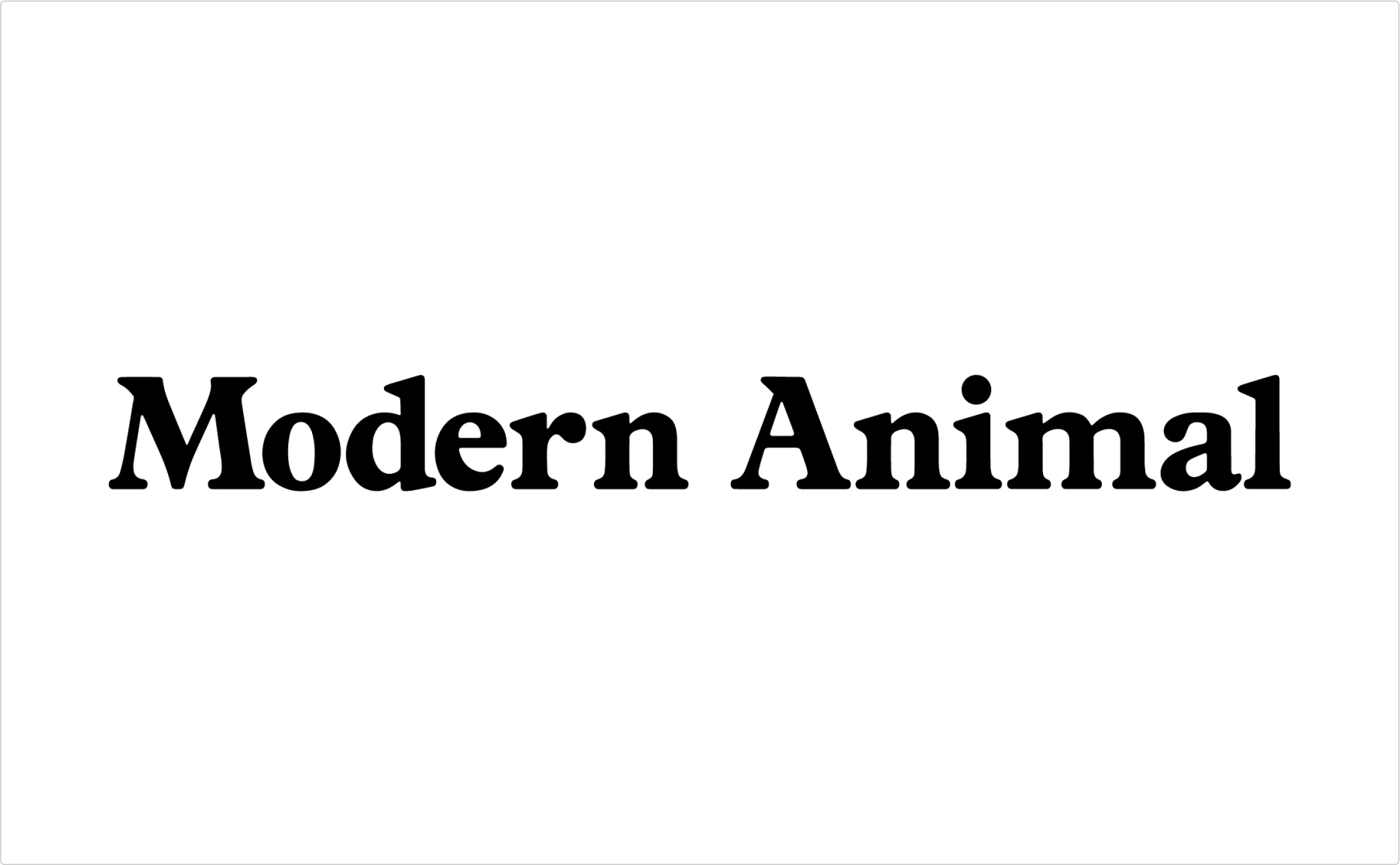 Modern Animal veterinary clinic serif lettering showcasing contemporary pet care font choice