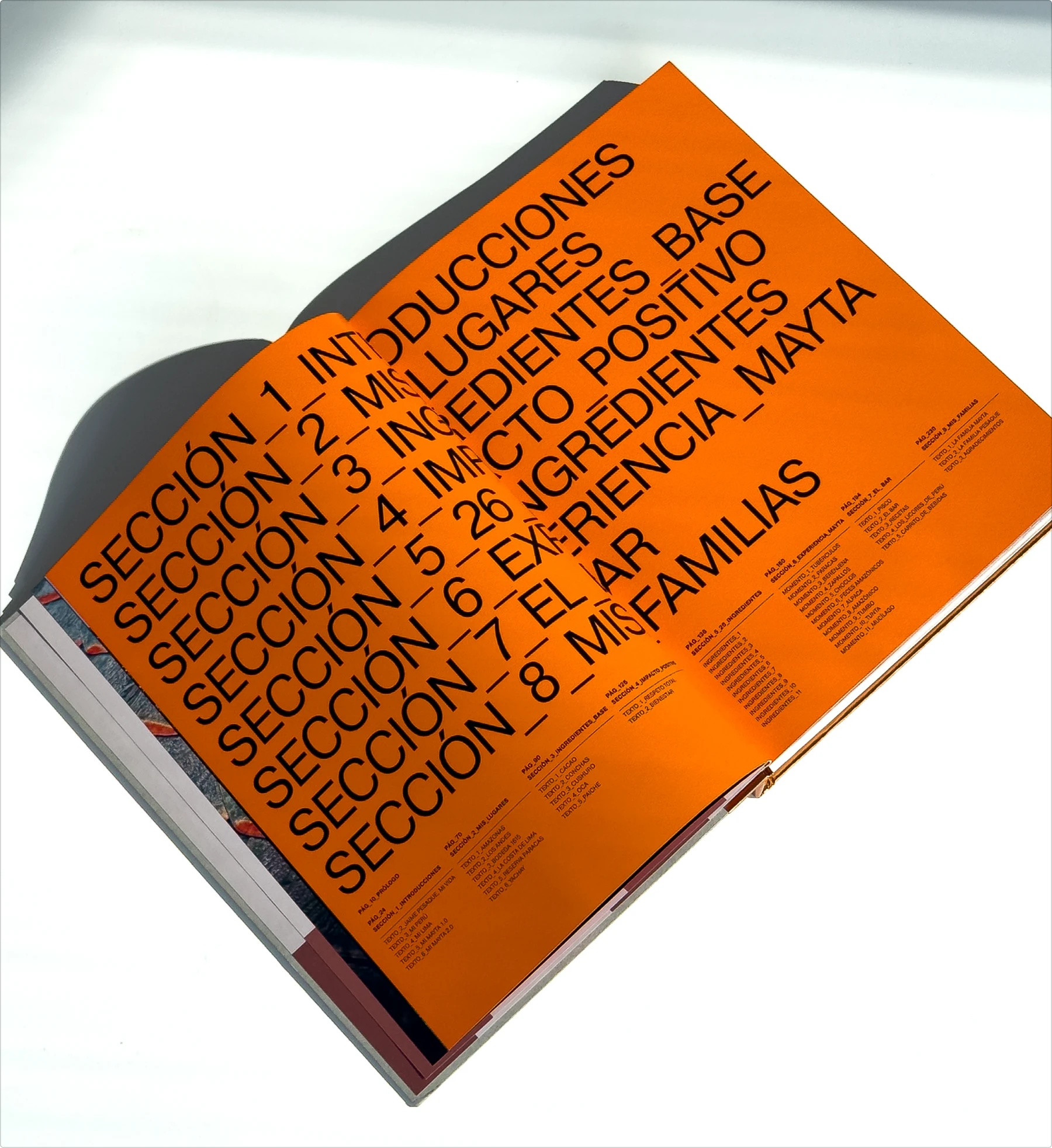 Table of contents spread with a bright orange background and massive black sans-serif text listing sections in Spanish, each line starting with “Sección” and bold numbering, dominating the entire page.