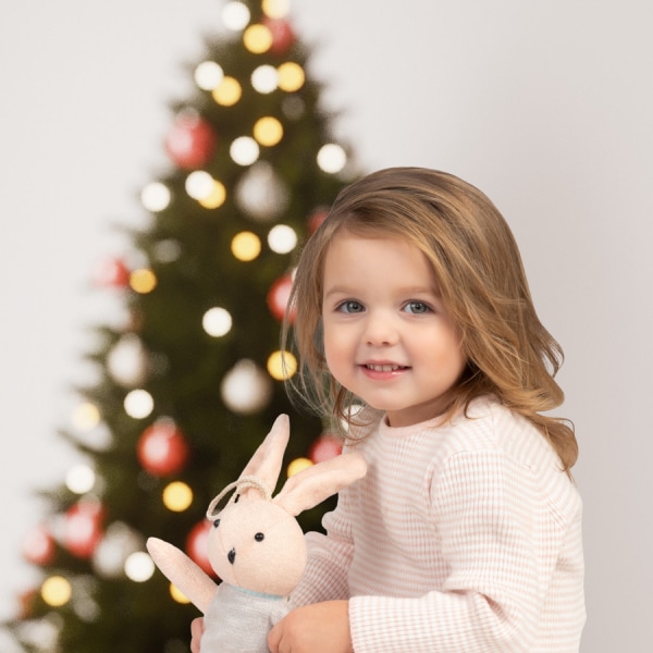 Little girl with her bunny