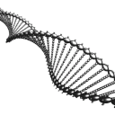 Molecular DNA